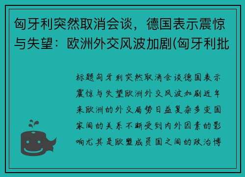 匈牙利突然取消会谈，德国表示震惊与失望：欧洲外交风波加剧(匈牙利批准)