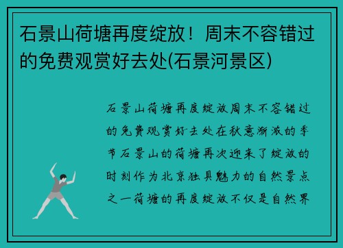 石景山荷塘再度绽放！周末不容错过的免费观赏好去处(石景河景区)